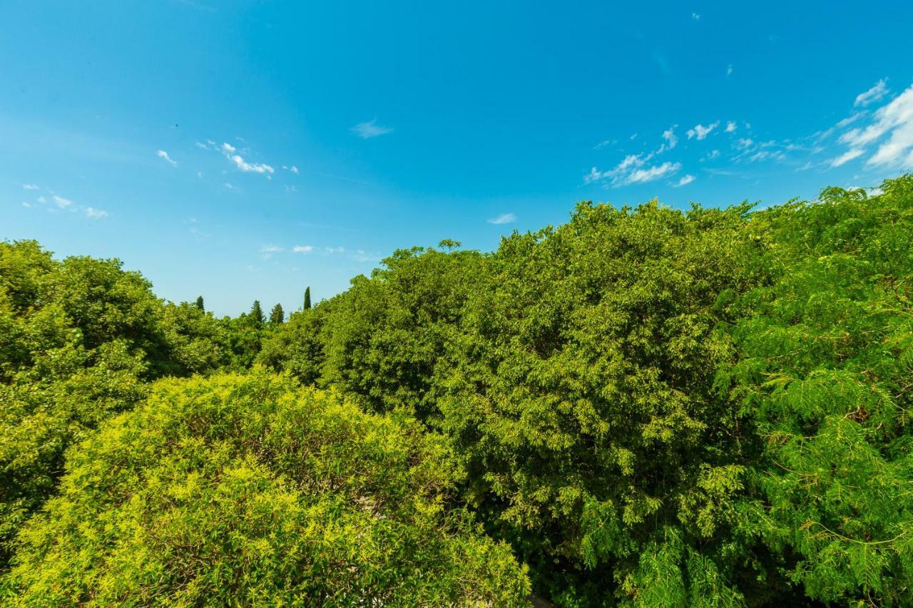 杜布罗夫尼克Hedera Estate, Hedera A1公寓 外观 照片